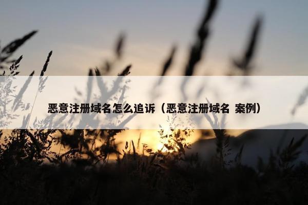 恶意注册域名怎么追诉（恶意注册域名 案例）-第1张图片-冷动云