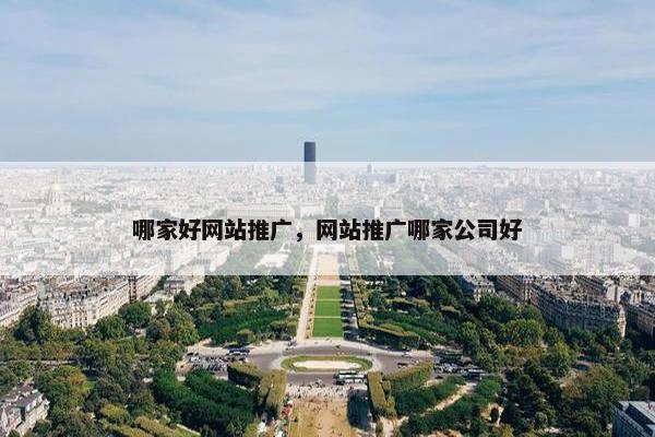 哪家好网站推广，网站推广哪家公司好-第1张图片-冷动云