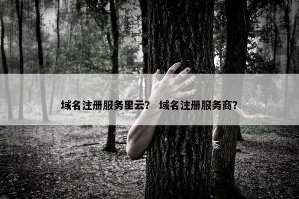 域名注册服务里云？ 域名注册服务商？-第1张图片-冷动云
