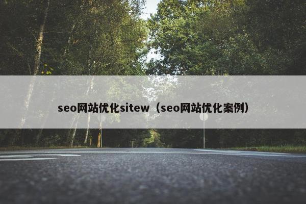 seo网站优化sitew（seo网站优化案例）-第1张图片-冷动云