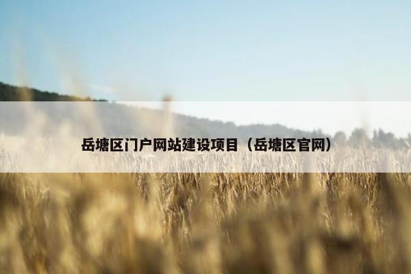 岳塘区门户网站建设项目（岳塘区官网）-第1张图片-冷动云