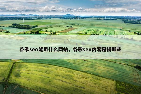 谷歌seo能用什么网站，谷歌seo内容是指哪些-第1张图片-冷动云