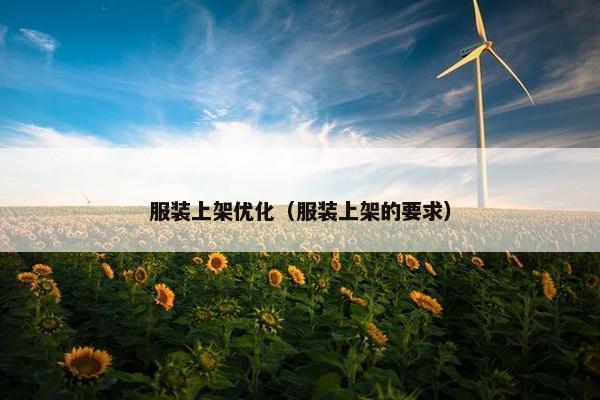 服装上架优化（服装上架的要求）-第1张图片-冷动云