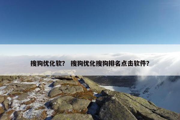 搜狗优化软？ 搜狗优化搜狗排名点击软件？-第1张图片-冷动云