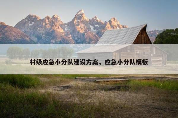 村级应急小分队建设方案，应急小分队模板-第1张图片-冷动云