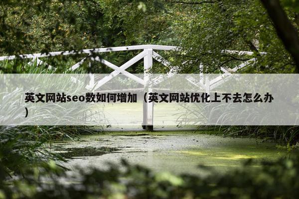 英文网站seo数如何增加（英文网站优化上不去怎么办）-第1张图片-冷动云