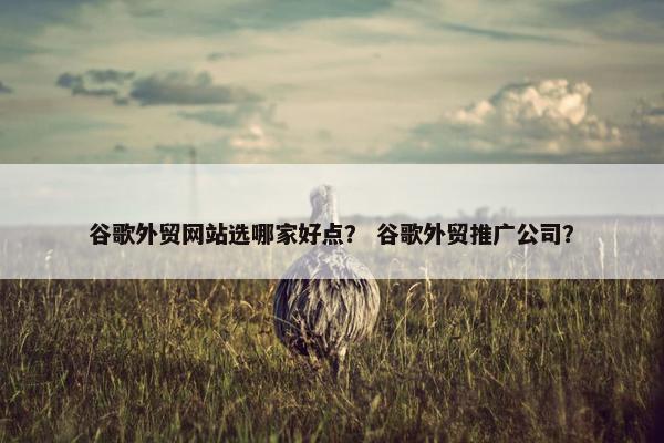 谷歌外贸网站选哪家好点？ 谷歌外贸推广公司？-第1张图片-冷动云
