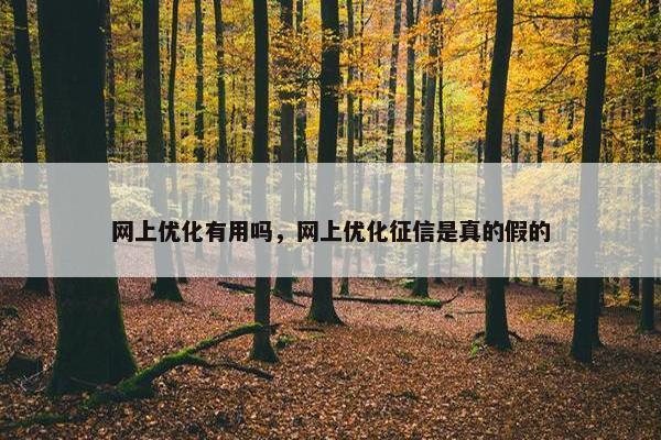 网上优化有用吗，网上优化征信是真的假的-第1张图片-冷动云