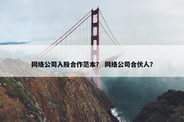 网络公司入股合作范本？ 网络公司合伙人？-第1张图片-冷动云