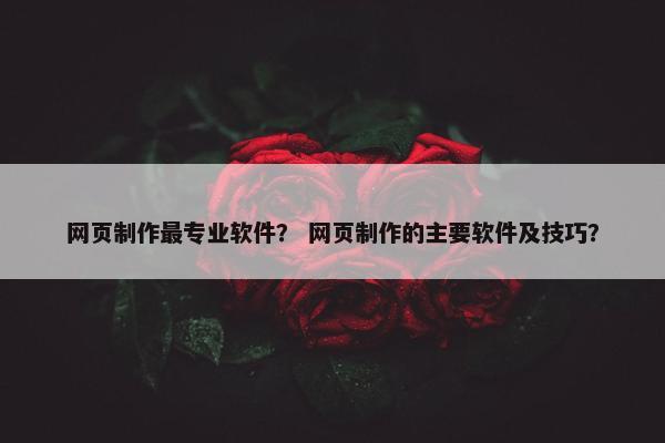 网页制作最专业软件？ 网页制作的主要软件及技巧？-第1张图片-冷动云