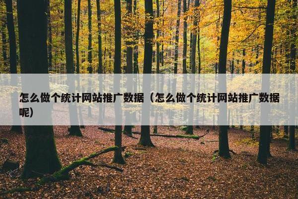 怎么做个统计网站推广数据（怎么做个统计网站推广数据呢）-第1张图片-冷动云