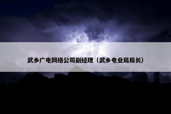 武乡广电网络公司副经理（武乡电业局局长）-第1张图片-冷动云