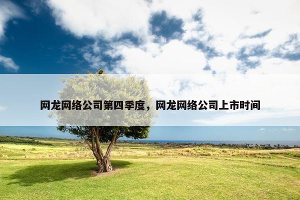 网龙网络公司第四季度，网龙网络公司上市时间-第1张图片-冷动云