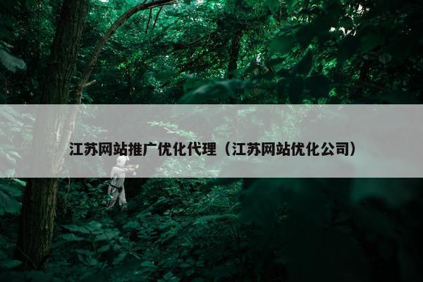 江苏网站推广优化代理（江苏网站优化公司）-第1张图片-冷动云