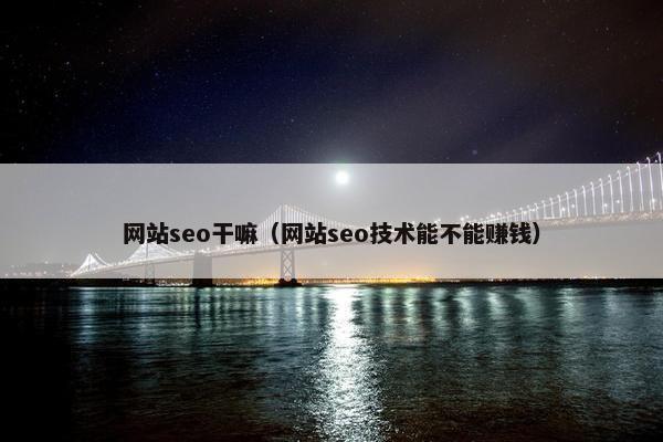 网站seo干嘛（网站seo技术能不能赚钱）-第1张图片-冷动云