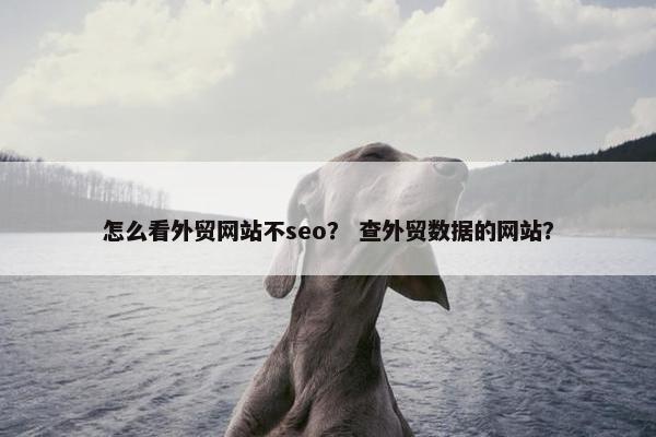 怎么看外贸网站不seo？ 查外贸数据的网站？-第1张图片-冷动云