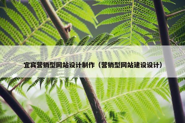 宜宾营销型网站设计制作（营销型网站建设设计）-第1张图片-冷动云
