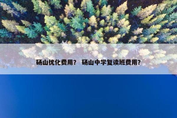 砀山优化费用？ 砀山中学复读班费用？-第1张图片-冷动云