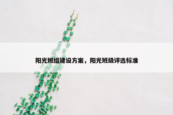 阳光班组建设方案，阳光班级评选标准-第1张图片-冷动云