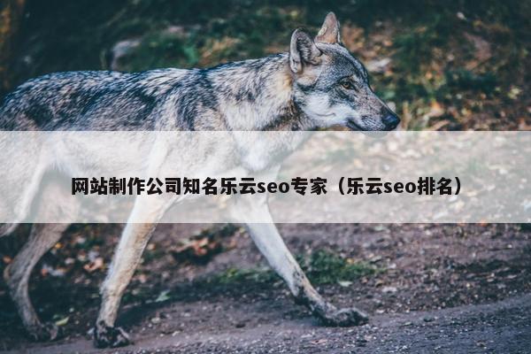 网站制作公司知名乐云seo专家（乐云seo排名）-第1张图片-冷动云