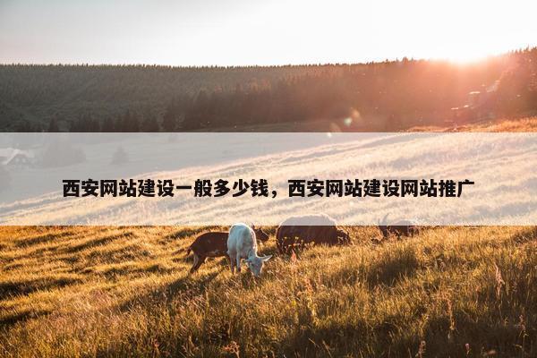 西安网站建设一般多少钱，西安网站建设网站推广-第1张图片-冷动云