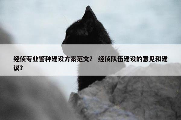 经侦专业警种建设方案范文？ 经侦队伍建设的意见和建议？-第1张图片-冷动云