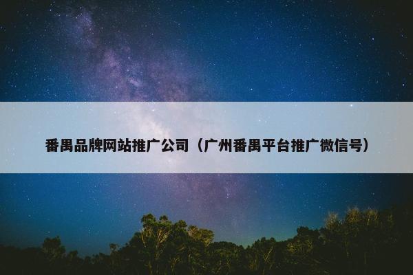番禺品牌网站推广公司（广州番禺平台推广微信号）-第1张图片-冷动云