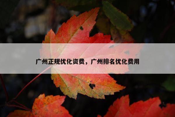 广州正规优化资费，广州排名优化费用-第1张图片-冷动云
