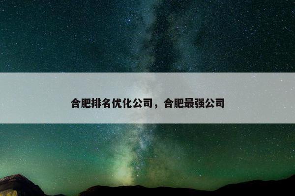 合肥排名优化公司，合肥最强公司-第1张图片-冷动云