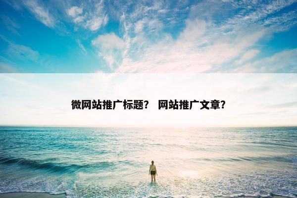 微网站推广标题？ 网站推广文章？-第1张图片-冷动云