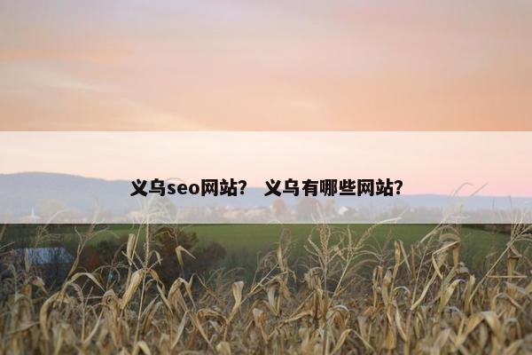 义乌seo网站？ 义乌有哪些网站？-第1张图片-冷动云
