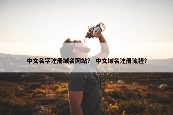 中文名字注册域名网站？ 中文域名注册流程？-第1张图片-冷动云