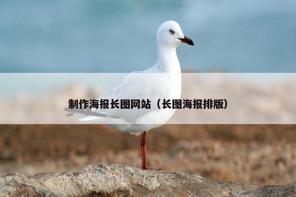 制作海报长图网站（长图海报排版）-第1张图片-冷动云