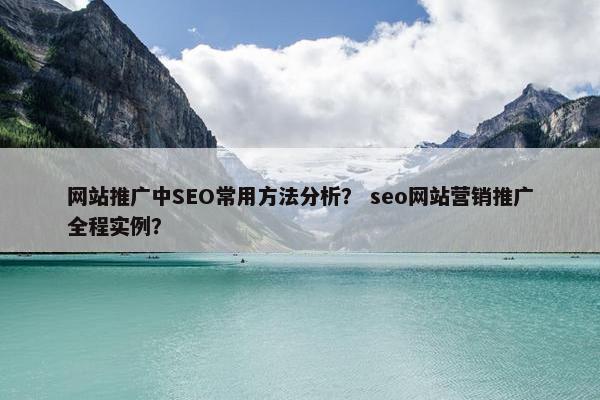 网站推广中SEO常用方法分析？ seo网站营销推广全程实例？-第1张图片-冷动云
