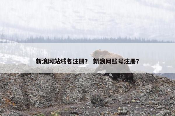 新浪网站域名注册？ 新浪网账号注册？-第1张图片-冷动云