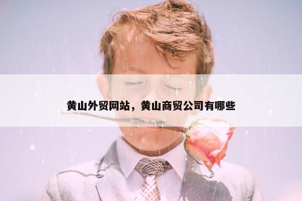 黄山外贸网站，黄山商贸公司有哪些-第1张图片-冷动云