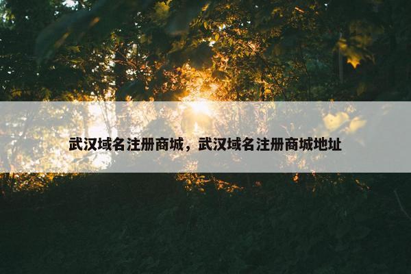 武汉域名注册商城，武汉域名注册商城地址-第1张图片-冷动云