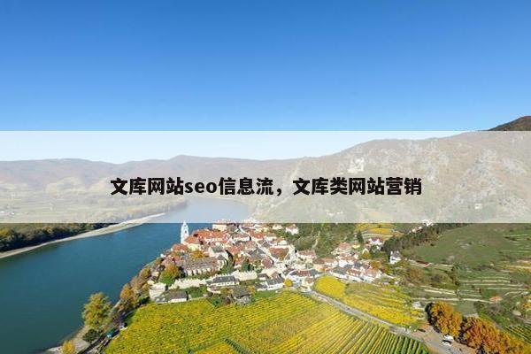文库网站seo信息流，文库类网站营销-第1张图片-冷动云