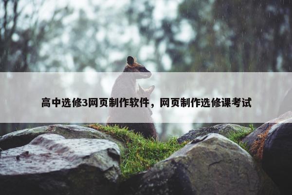 高中选修3网页制作软件，网页制作选修课考试-第1张图片-冷动云