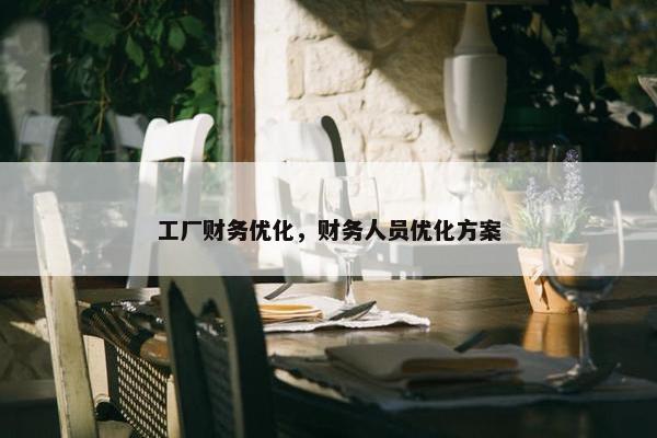 工厂财务优化，财务人员优化方案-第1张图片-冷动云