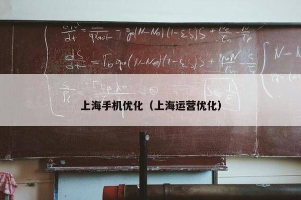 上海手机优化（上海运营优化）-第1张图片-冷动云