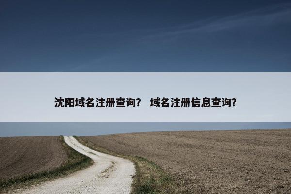 沈阳域名注册查询？ 域名注册信息查询？-第1张图片-冷动云