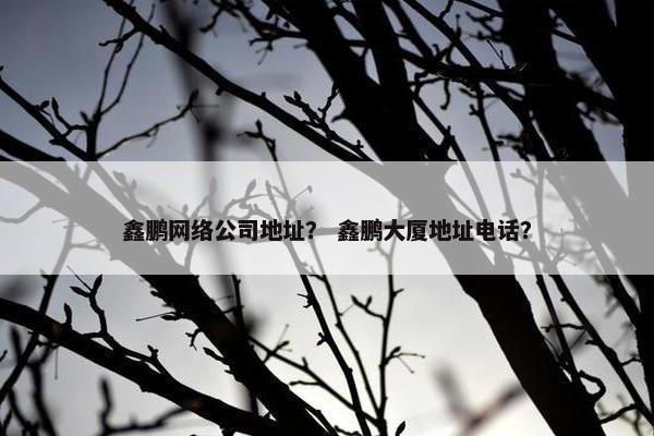 鑫鹏网络公司地址？ 鑫鹏大厦地址电话？-第1张图片-冷动云