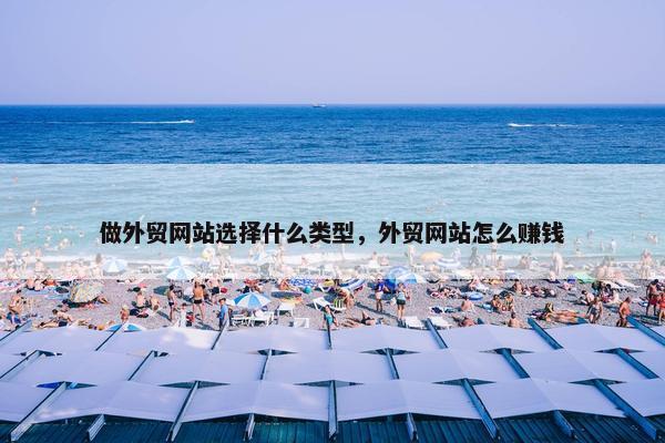 做外贸网站选择什么类型，外贸网站怎么赚钱-第1张图片-冷动云