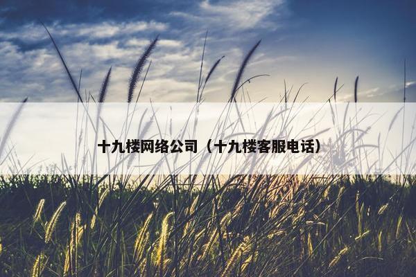十九楼网络公司（十九楼客服电话）-第1张图片-冷动云