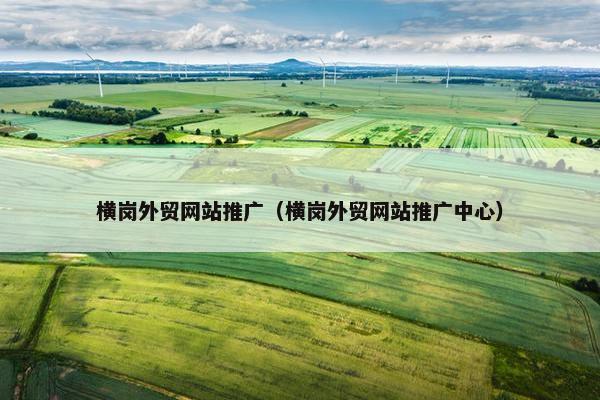 横岗外贸网站推广（横岗外贸网站推广中心）-第1张图片-冷动云