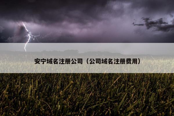 安宁域名注册公司（公司域名注册费用）-第1张图片-冷动云