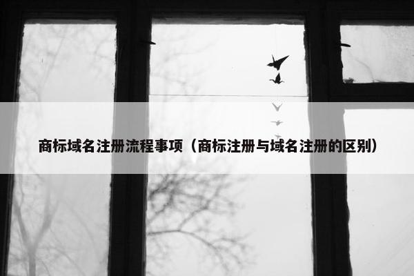 商标域名注册流程事项（商标注册与域名注册的区别）-第1张图片-冷动云