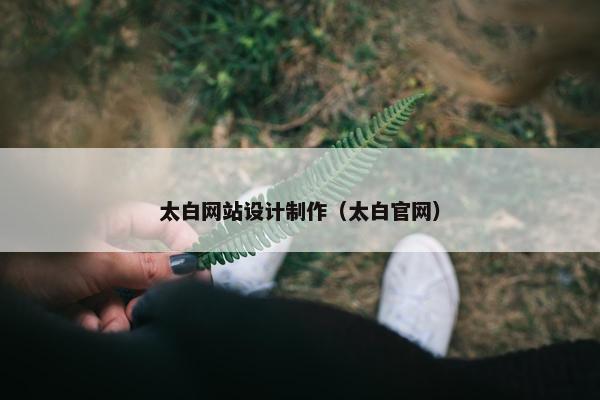 太白网站设计制作（太白官网）-第1张图片-冷动云