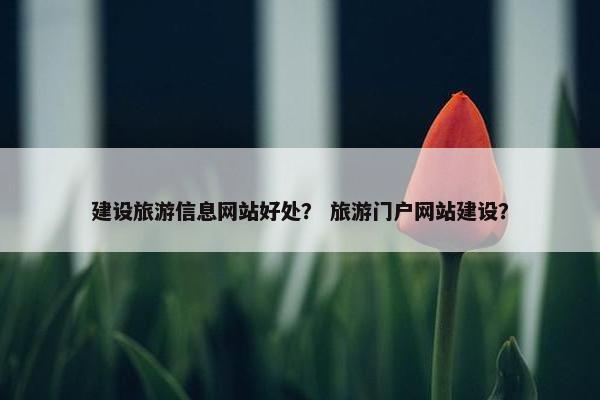 建设旅游信息网站好处？ 旅游门户网站建设？-第1张图片-冷动云